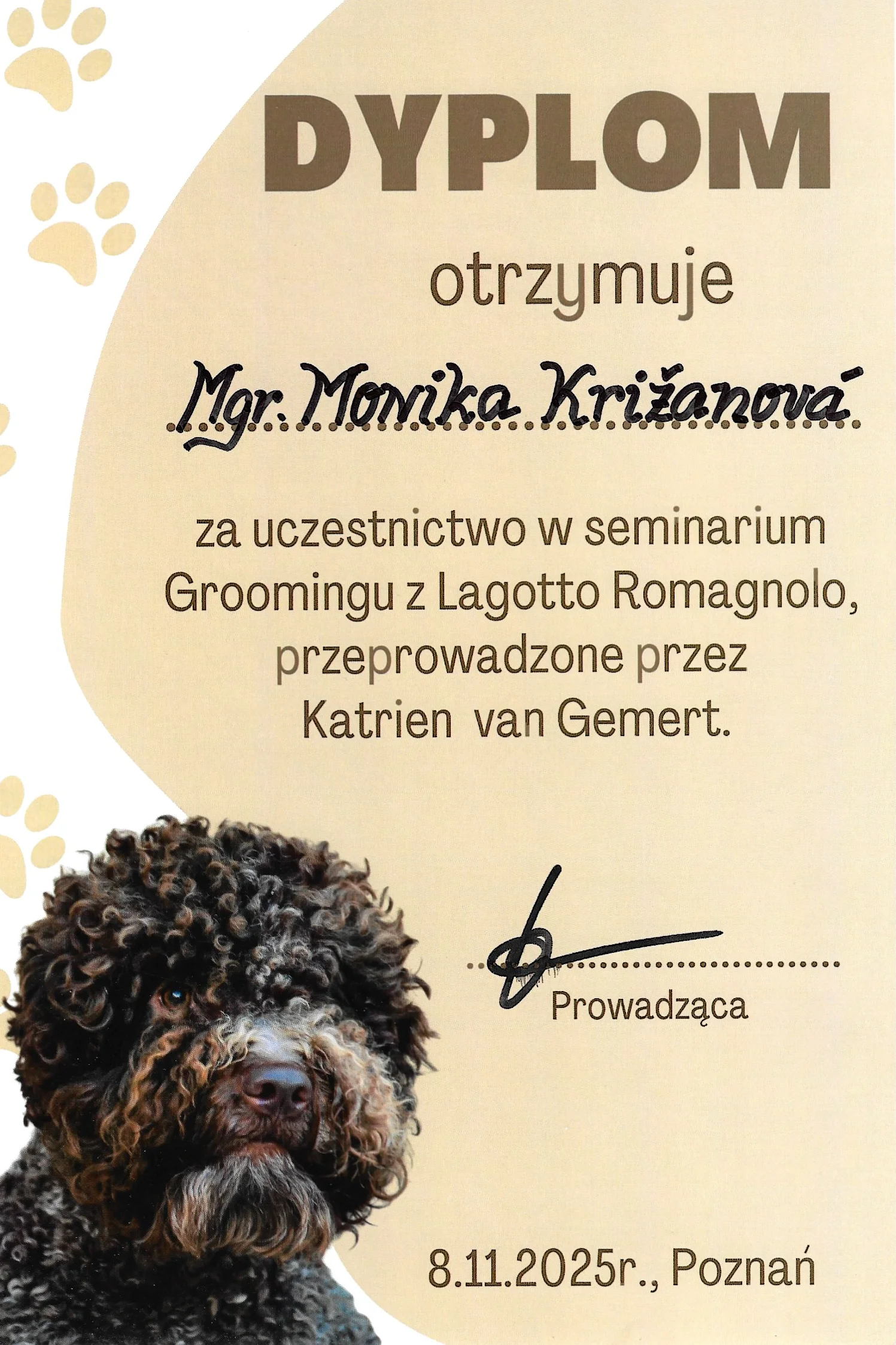 Diplom zo seminára groomingu Lagotto Romagnolo s Katrien van Gemert
