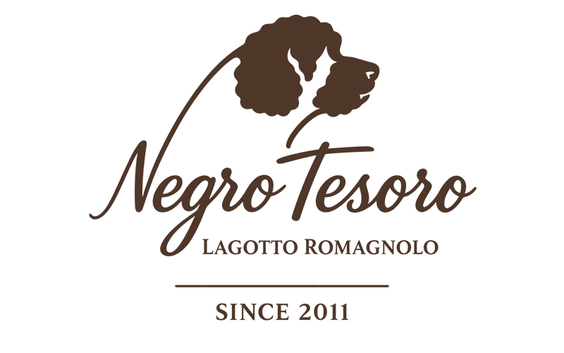 Negro Tesoro – chovateľská stanica Lagotto Romagnolo